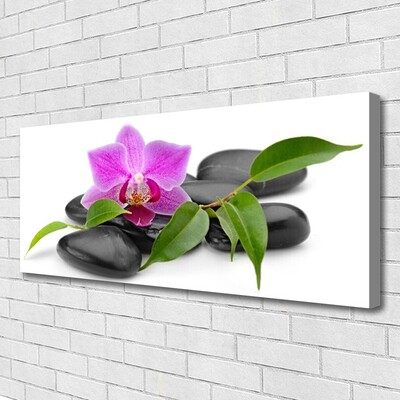 Leinwand-Bilder Blume Steine Kunst