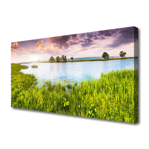 Leinwand-Bilder Gras See Natur