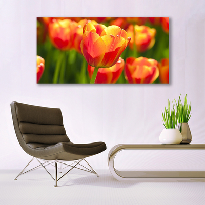 Leinwand-Bilder Tulpen Pflanzen