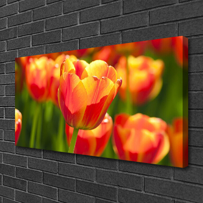 Leinwand-Bilder Tulpen Pflanzen