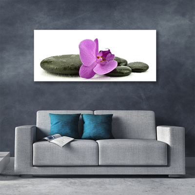 Leinwand-Bilder Blume Steine Kunst