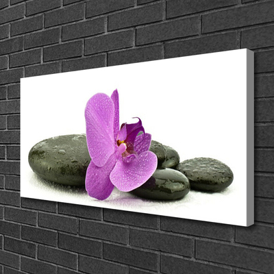 Leinwand-Bilder Blume Steine Kunst