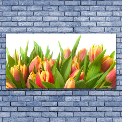 Leinwand-Bilder Tulpen Pflanzen