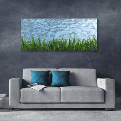 Leinwand-Bilder Gras Wasser Natur