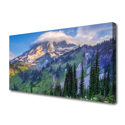 Leinwand-Bilder Gebirge Wald Landschaft