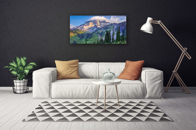 Leinwand-Bilder Gebirge Wald Landschaft