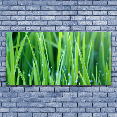 Leinwand-Bilder Gras Natur