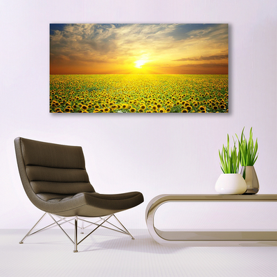 Leinwand-Bilder Sonne Wiese Sonnenblumen Natur