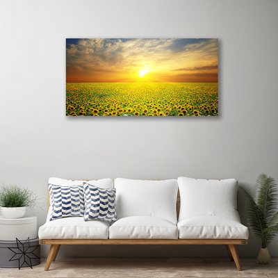 Leinwand-Bilder Sonne Wiese Sonnenblumen Natur