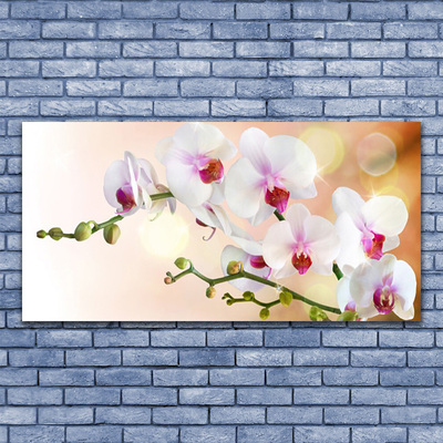 Leinwand-Bilder Blumen Pflanzen