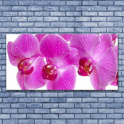 Leinwand-Bilder Blumen Pflanzen