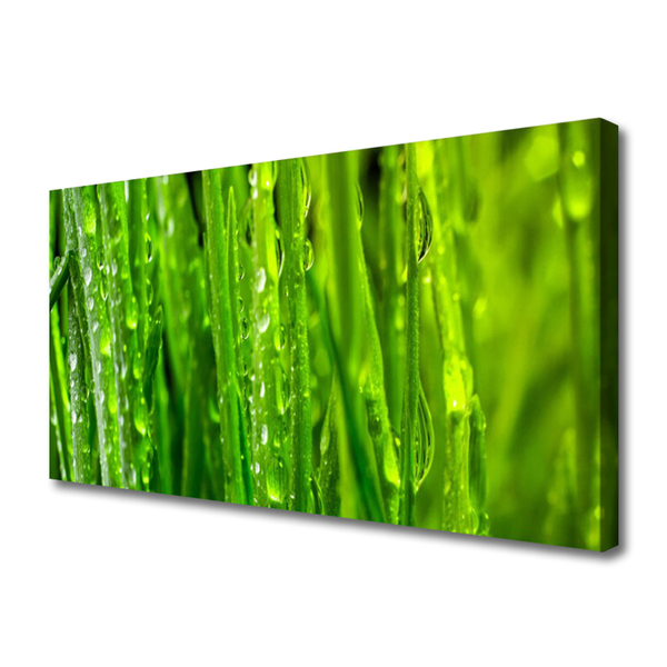 Leinwand-Bilder Gras Natur