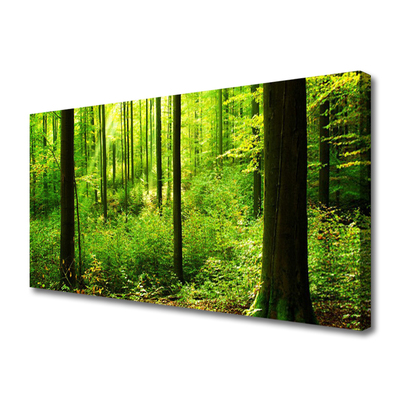 Leinwand-Bilder Wald Natur