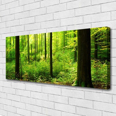 Leinwand-Bilder Wald Natur