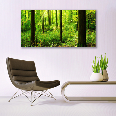 Leinwand-Bilder Wald Natur