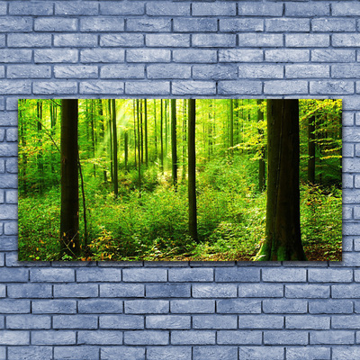 Leinwand-Bilder Wald Natur