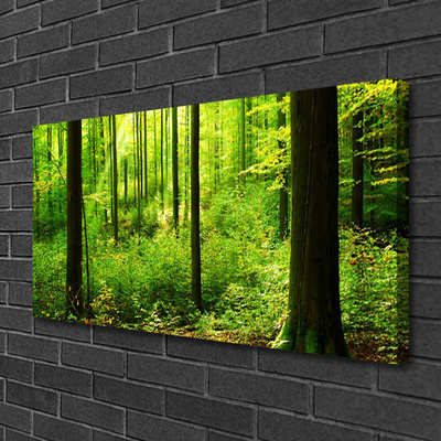 Leinwand-Bilder Wald Natur