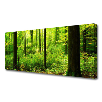 Leinwand-Bilder Wald Natur