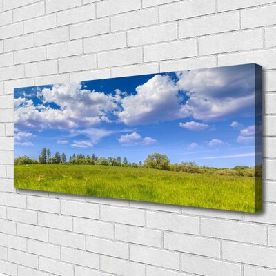 Leinwand-Bilder Wiese Gras Landschaft