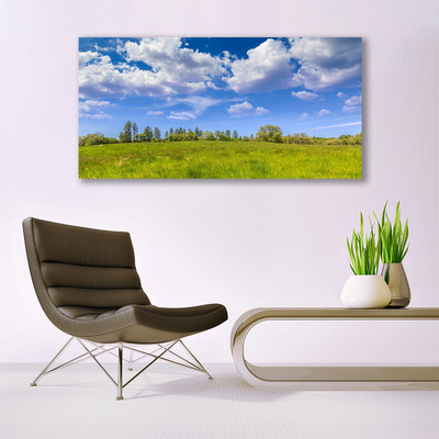 Leinwand-Bilder Wiese Gras Landschaft