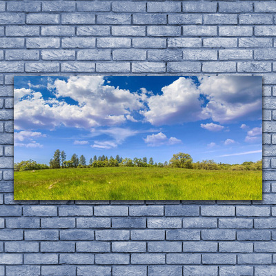 Leinwand-Bilder Wiese Gras Landschaft