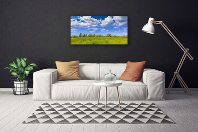 Leinwand-Bilder Wiese Gras Landschaft