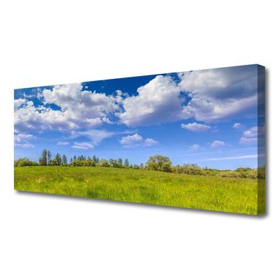 Leinwand-Bilder Wiese Gras Landschaft