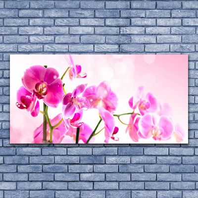 Leinwand-Bilder Blumen Pflanzen