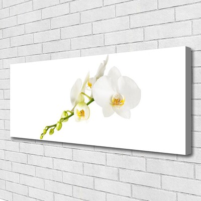 Leinwand-Bilder Blumen Pflanzen