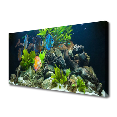 Leinwand-Bilder Fische Steine Blätter Natur
