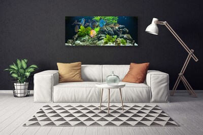 Leinwand-Bilder Fische Steine Blätter Natur