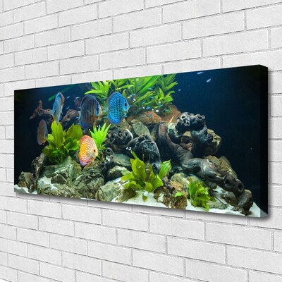 Leinwand-Bilder Fische Steine Blätter Natur