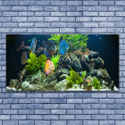 Leinwand-Bilder Fische Steine Blätter Natur