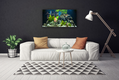 Leinwand-Bilder Fische Steine Blätter Natur