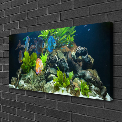 Leinwand-Bilder Fische Steine Blätter Natur