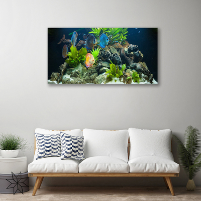 Leinwand-Bilder Fische Steine Blätter Natur