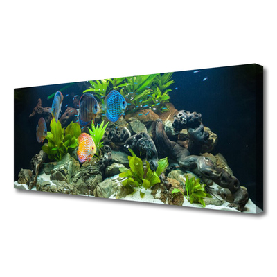 Leinwand-Bilder Fische Steine Blätter Natur