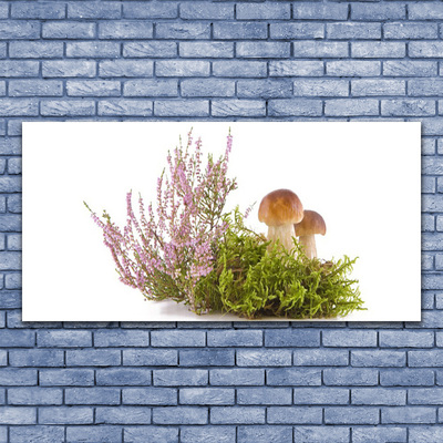 Leinwand-Bilder Pilze Pflanzen