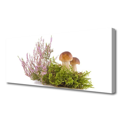 Leinwand-Bilder Pilze Pflanzen