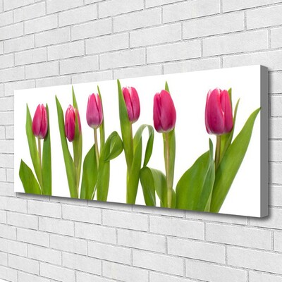 Leinwand-Bilder Tulpen Pflanzen