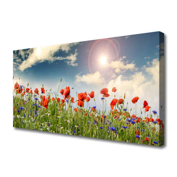 Leinwand-Bilder Wiese Blumen Natur