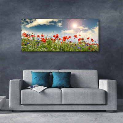 Leinwand-Bilder Wiese Blumen Natur