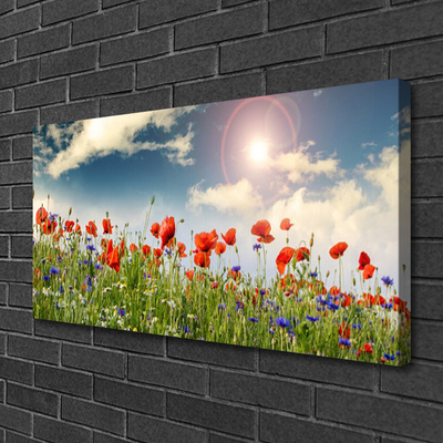 Leinwand-Bilder Wiese Blumen Natur