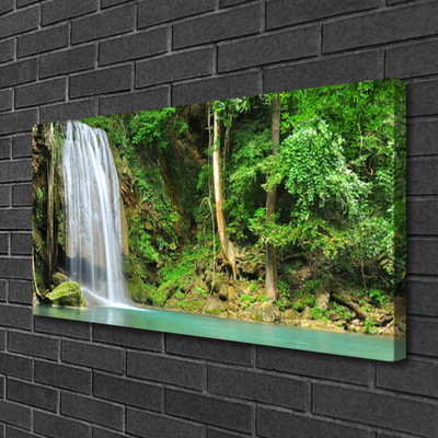 Leinwand-Bilder Wasserfall Wald Natur