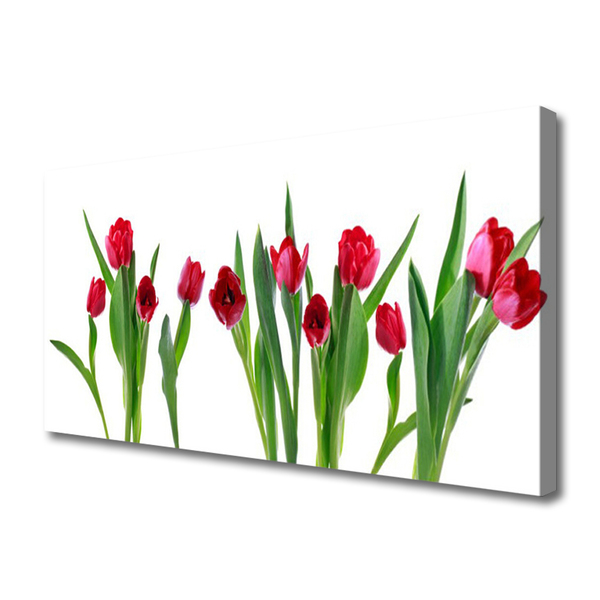 Leinwand-Bilder Tulpen Pflanzen