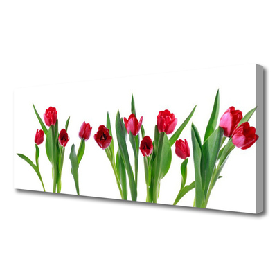 Leinwand-Bilder Tulpen Pflanzen