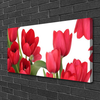 Leinwand-Bilder Tulpen Pflanzen