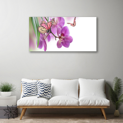 Leinwand-Bilder Schmetterlinge Blumen Natur