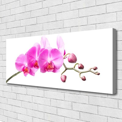 Leinwand-Bilder Blumen Pflanzen