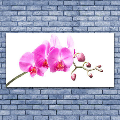 Leinwand-Bilder Blumen Pflanzen